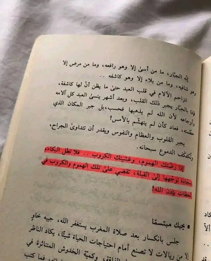 المنتج