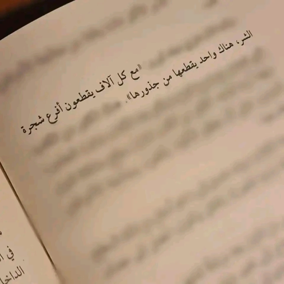 المنتج