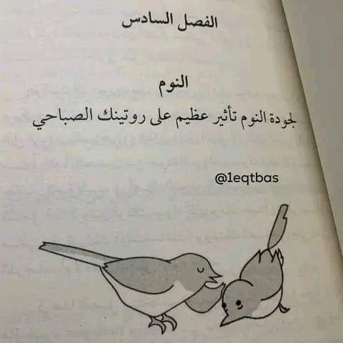 المنتج