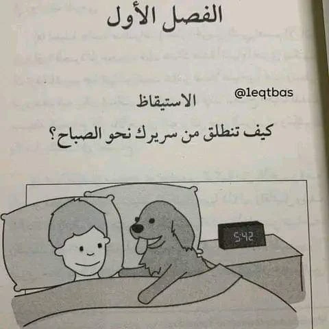 المنتج