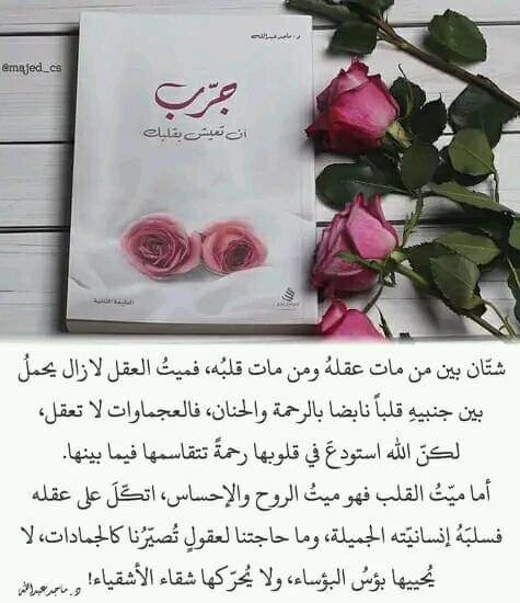 المنتج