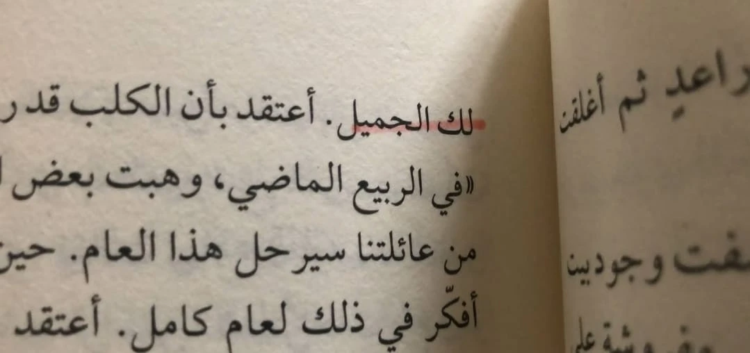 المنتج