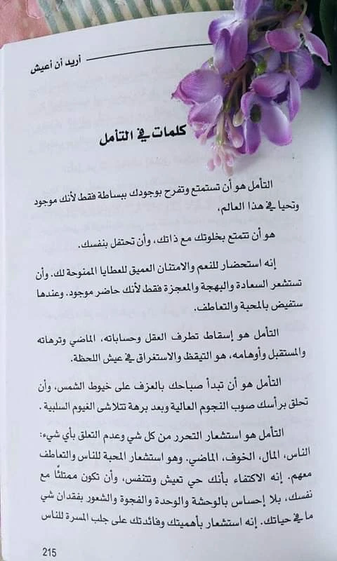 المنتج