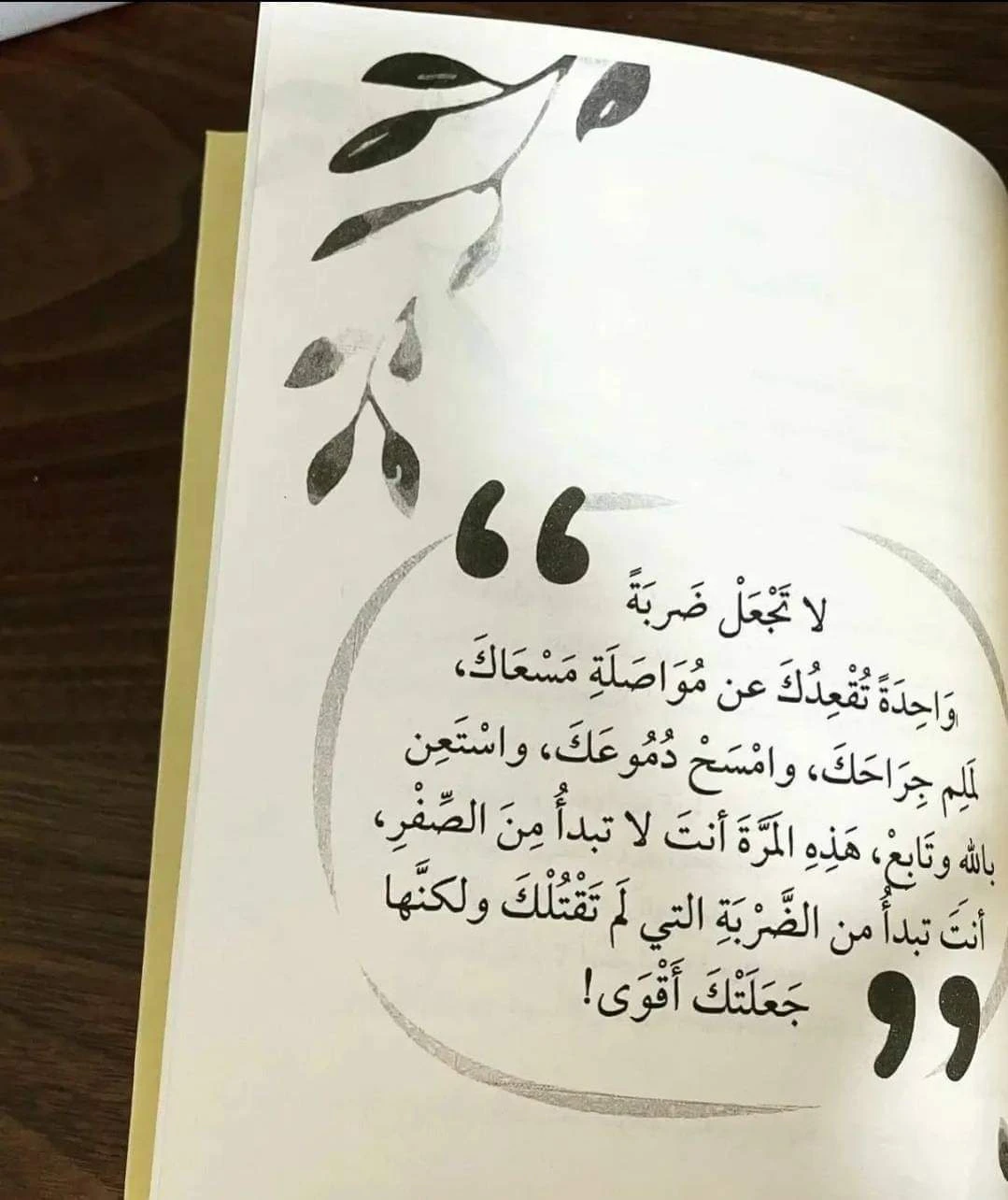 المنتج