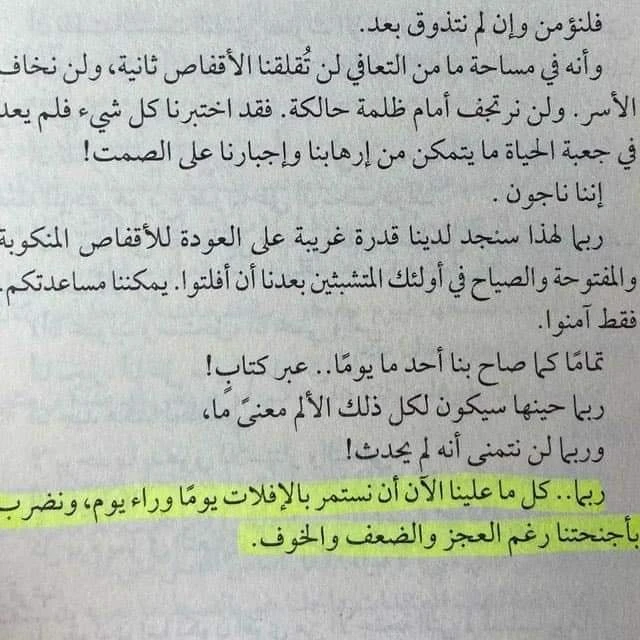 المنتج