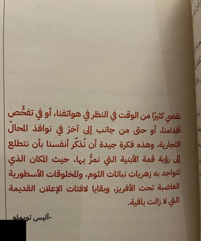 المنتج