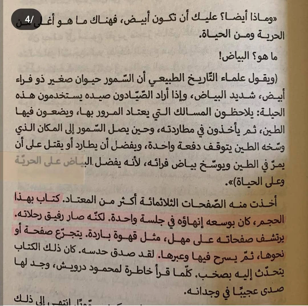 المنتج