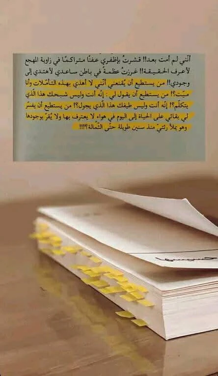 المنتج