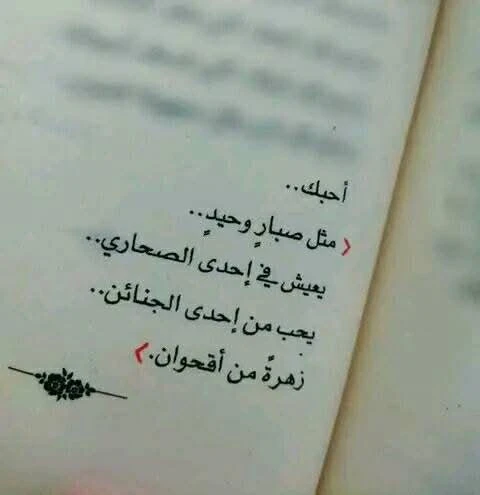 المنتج