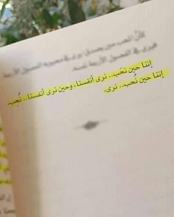 المنتج