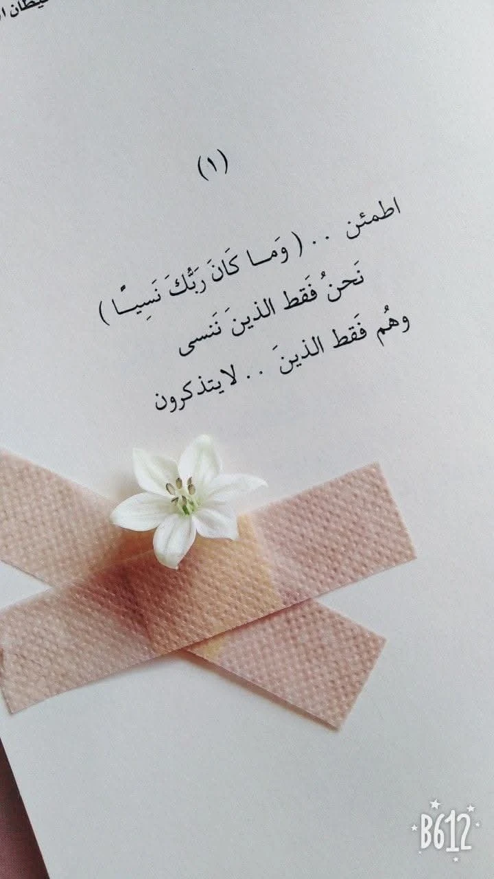 المنتج