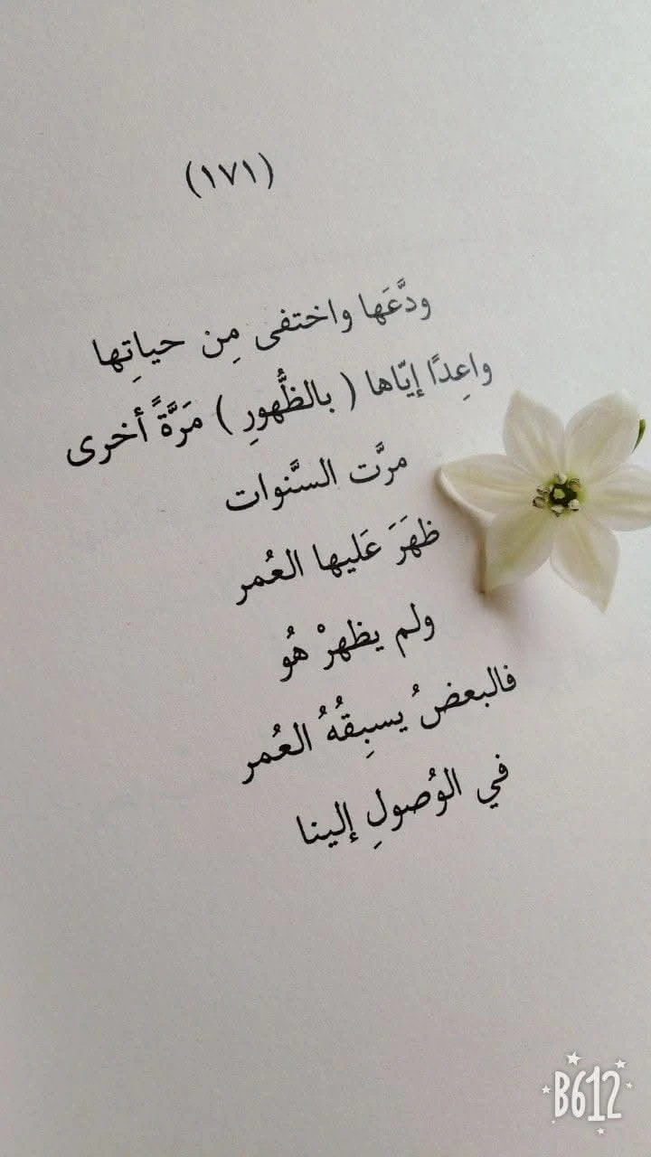 المنتج