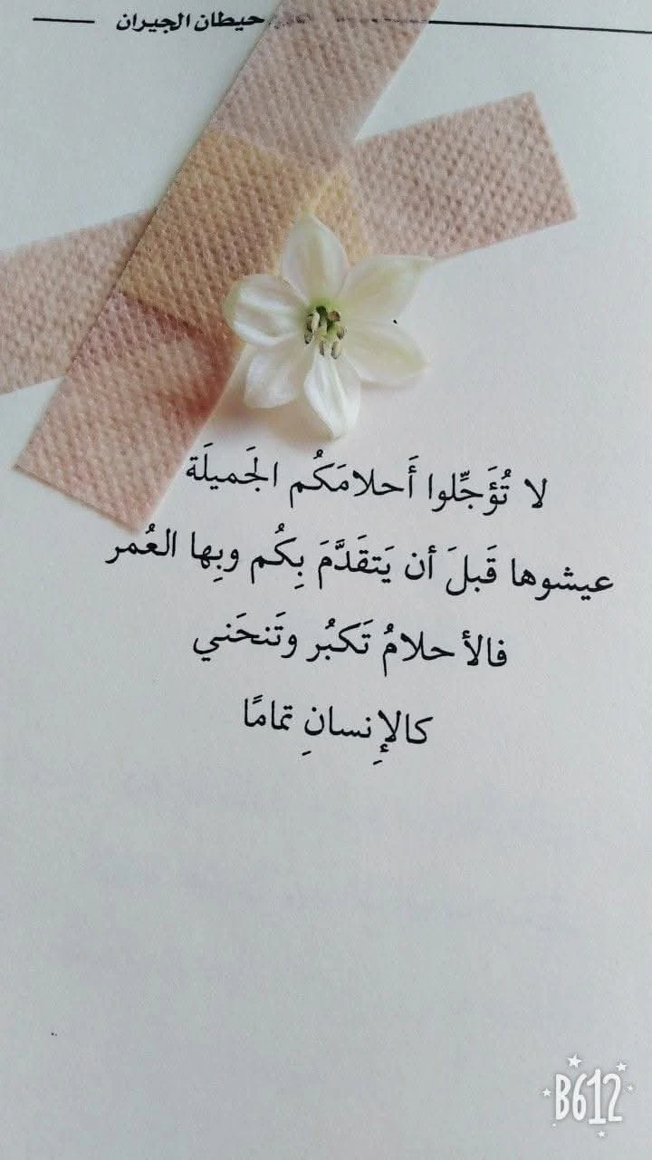 المنتج