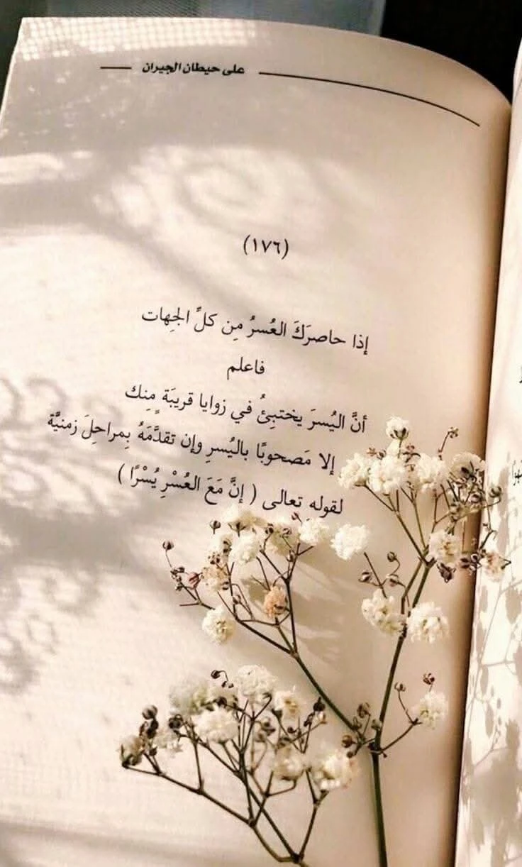 المنتج
