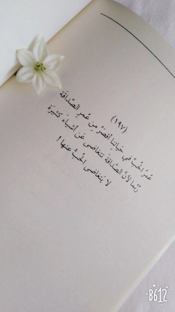 المنتج