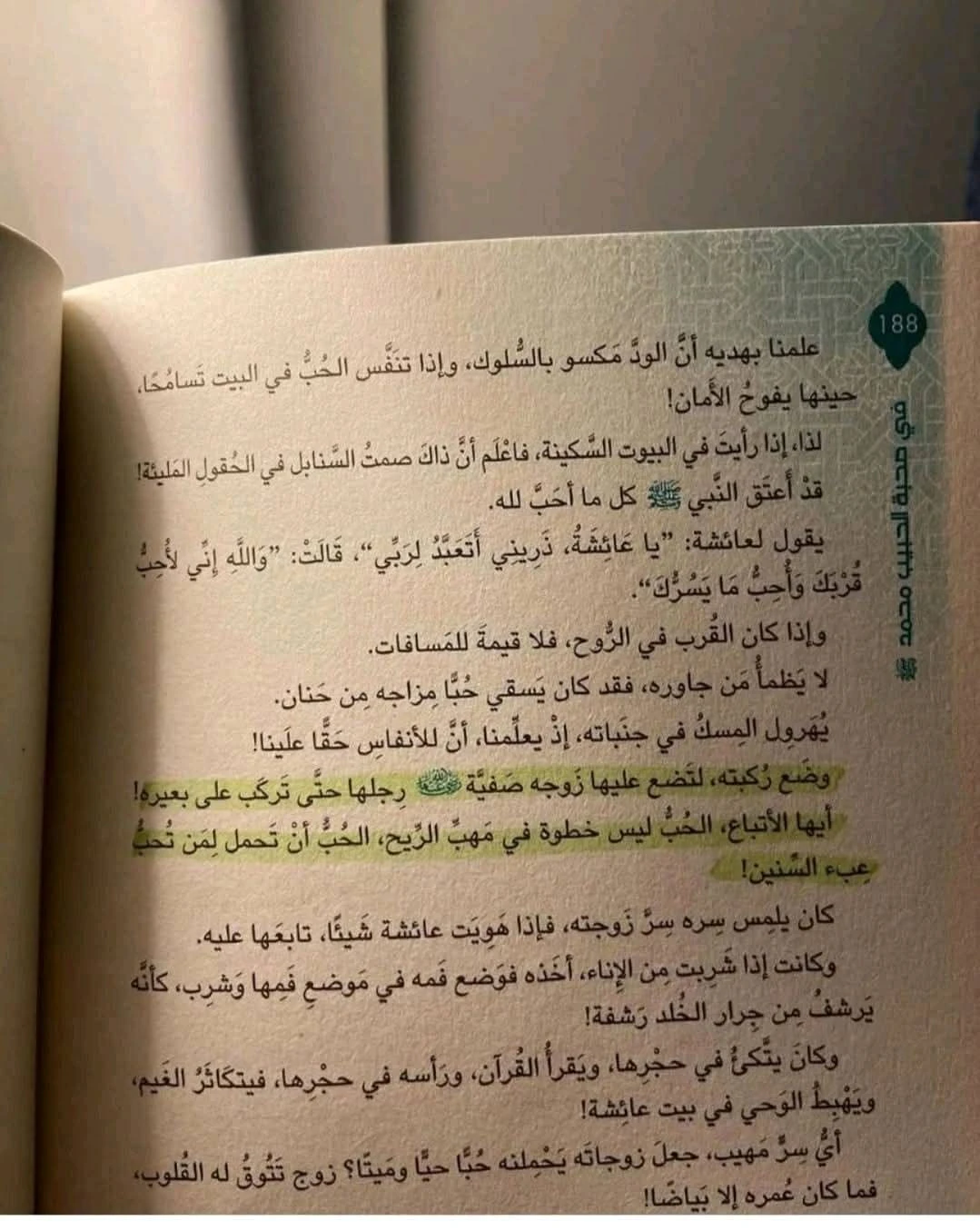 المنتج