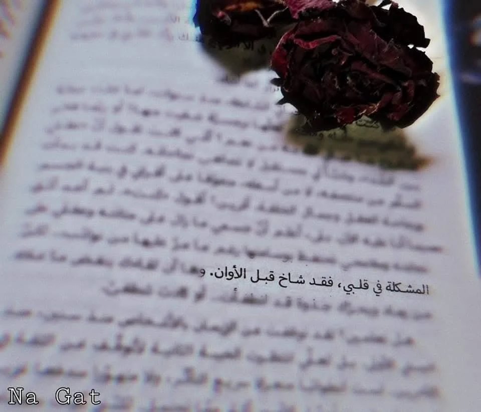 المنتج