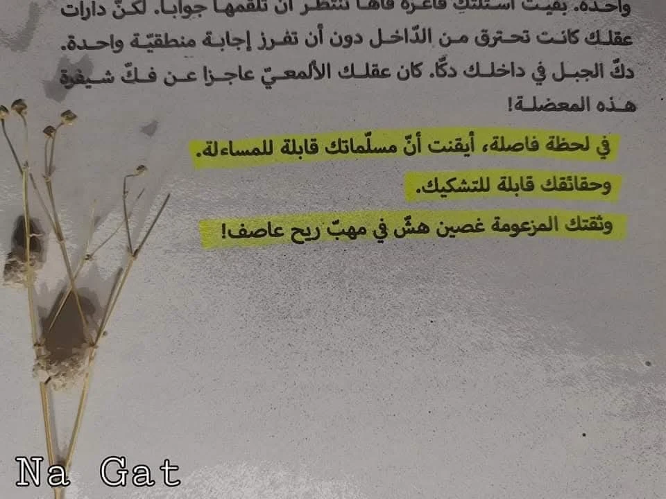 المنتج