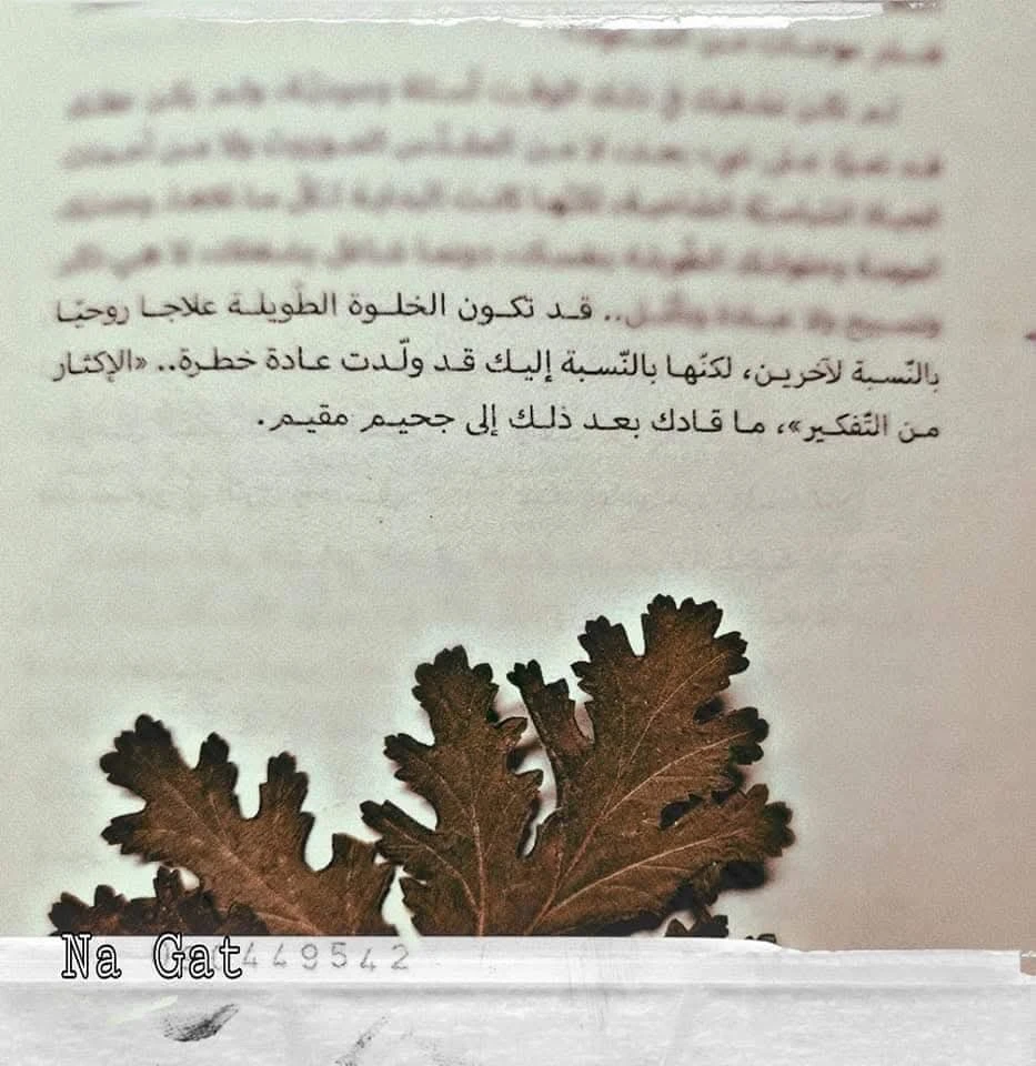 المنتج