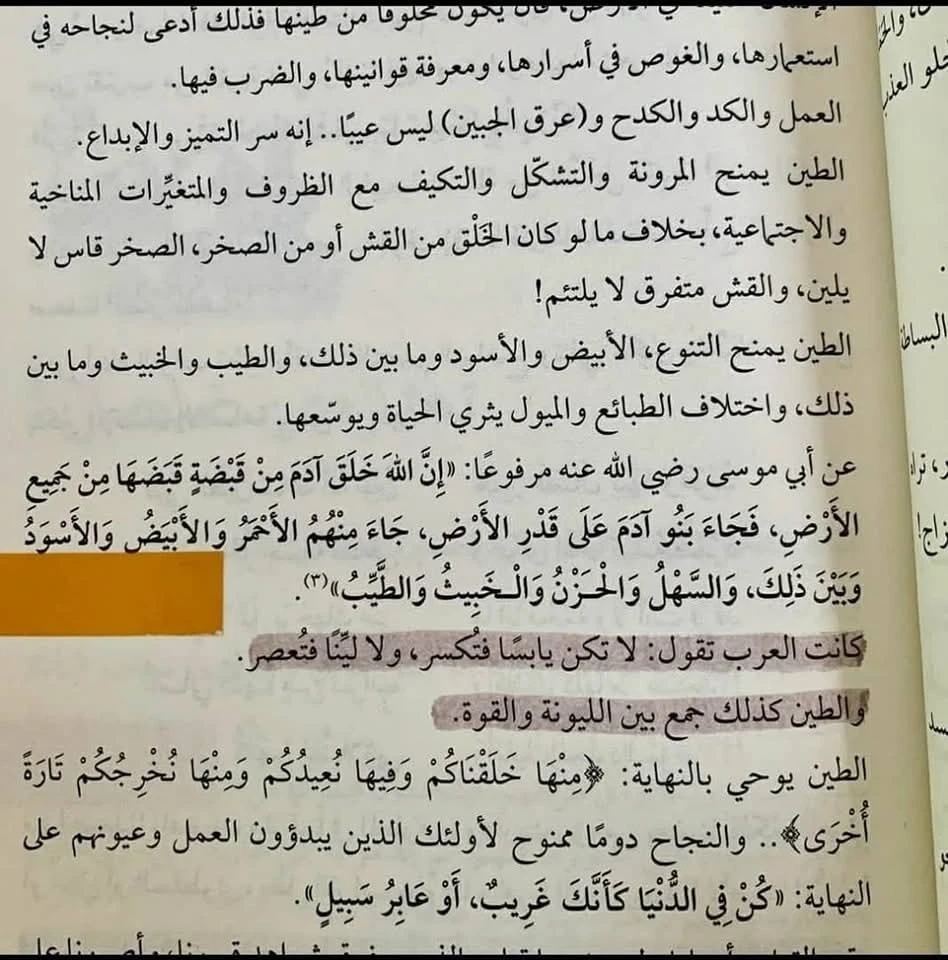 المنتج