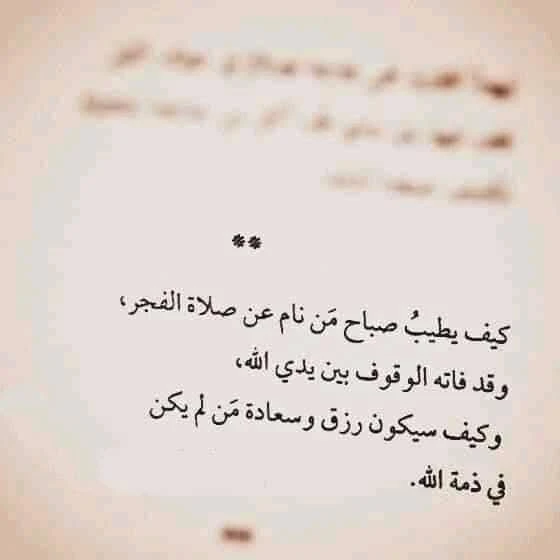 المنتج