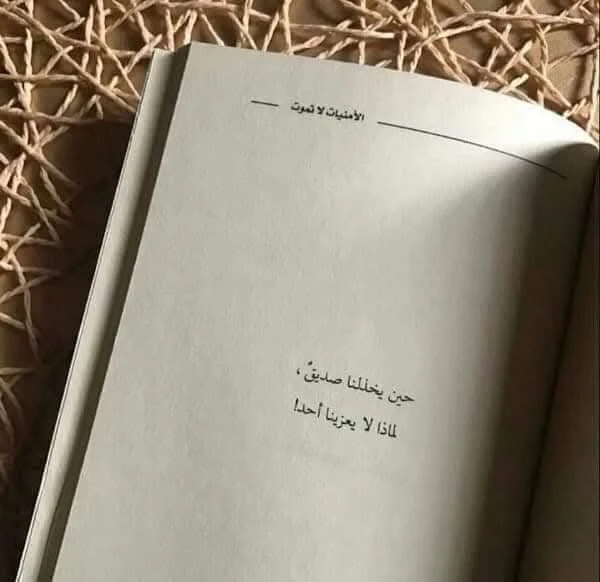 المنتج