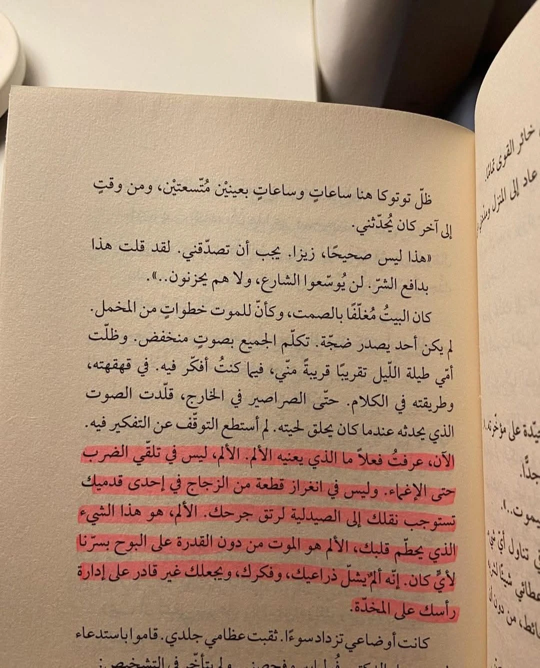 المنتج