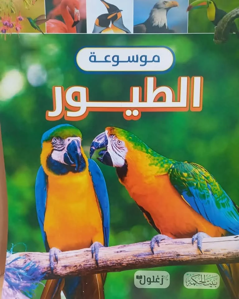 المنتج