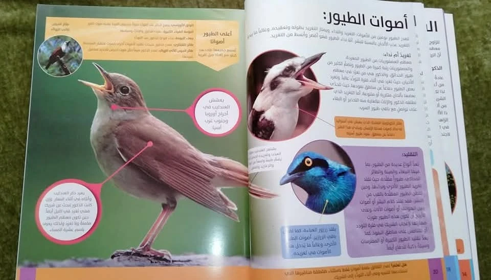المنتج
