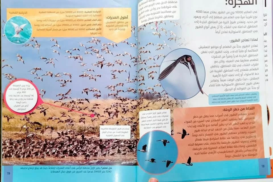 المنتج