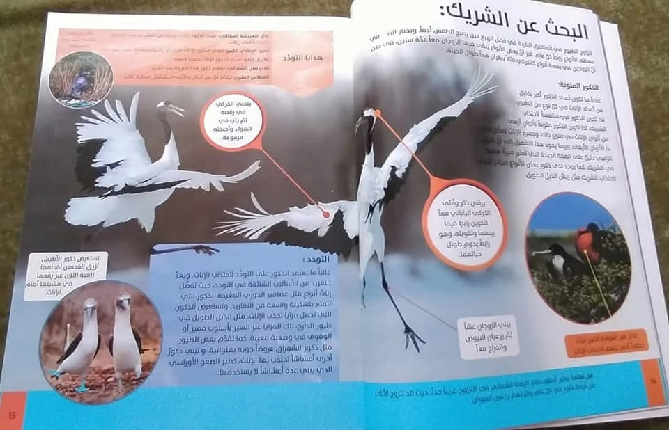 المنتج