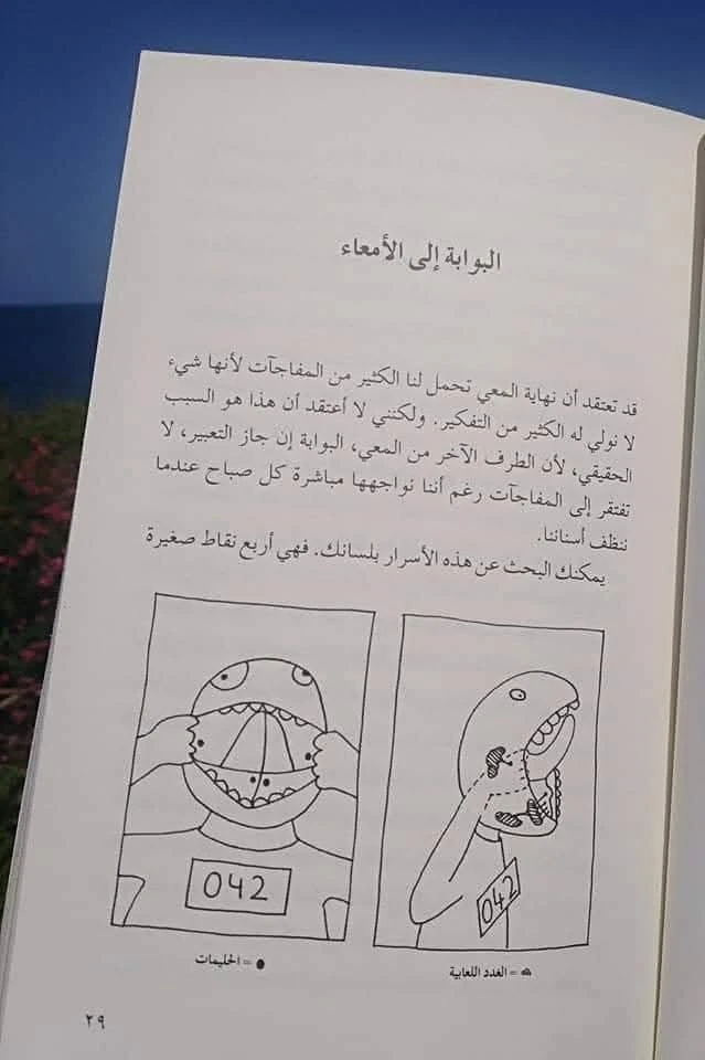 المنتج