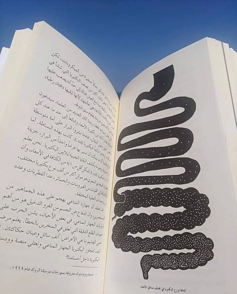 المنتج