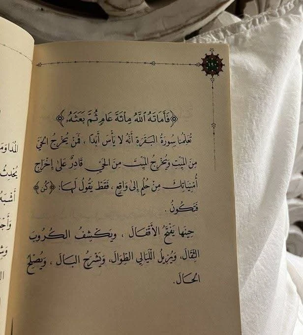 المنتج